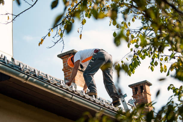 Quick and Trustworthy Emergency Roof Repair Services in Tonka Bay, MN