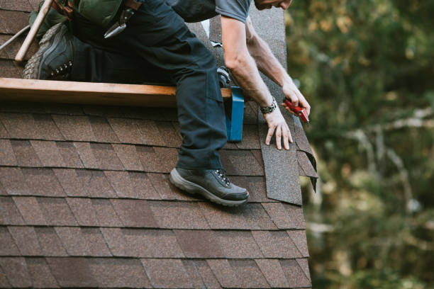 Best Roof Leak Repair  in Tonka Bay, MN